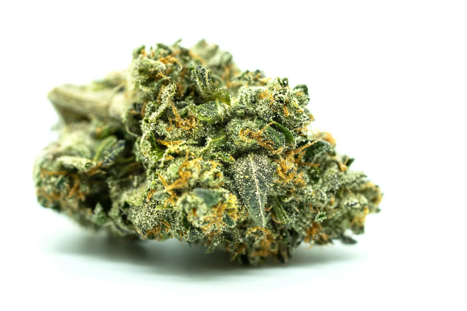 A Beginner's Guide to Cannabis Terpenes